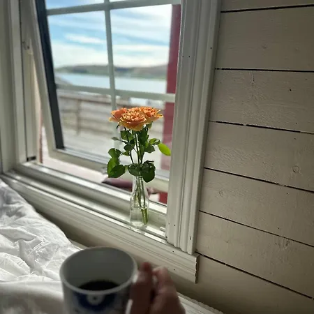 Lofoten Arctic Ocean - Skreda 19 Vestvagoy