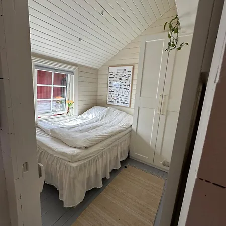 Semesterbostad Lofoten Arctic Ocean - Skreda 19