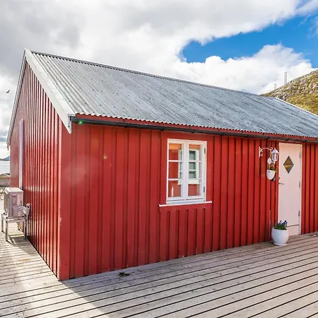 Lofoten Arctic Ocean - Skreda 19