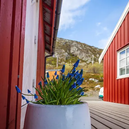 Lofoten Arctic Ocean - Skreda 19 *