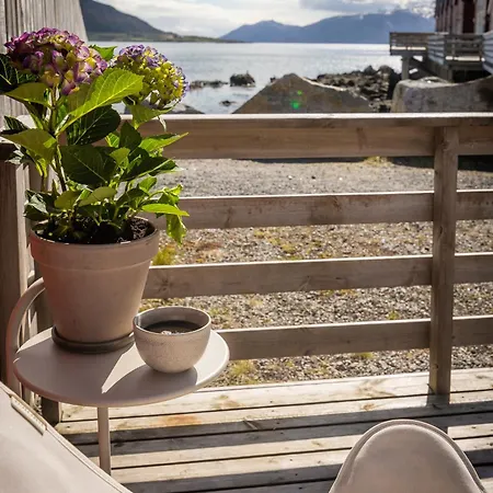 Lofoten Arctic Ocean - Skreda 19