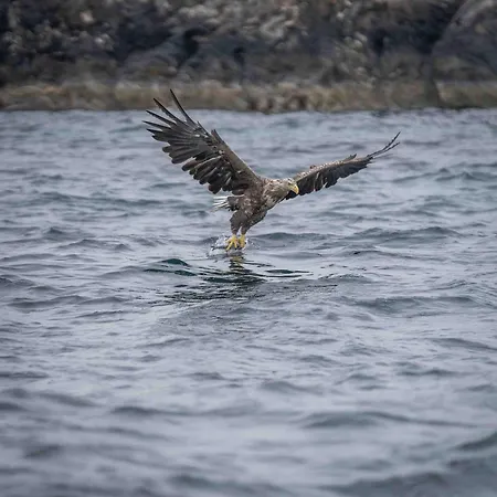 Semesterbostad Lofoten Arctic Ocean - Skreda 19 Vestvagoy