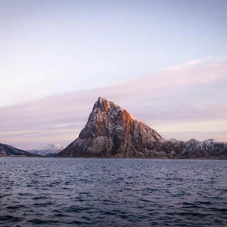 Lofoten Arctic Ocean - Skreda 19 *