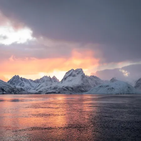 Lofoten Arctic Ocean - Skreda 19 *